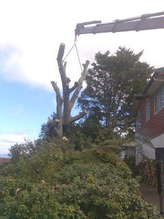 Crane job