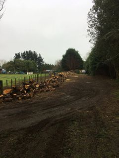 Half way through the hedge removal