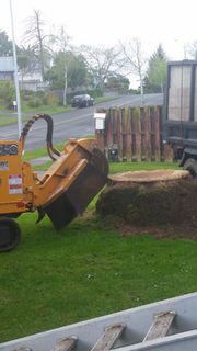 Stump Grinder
